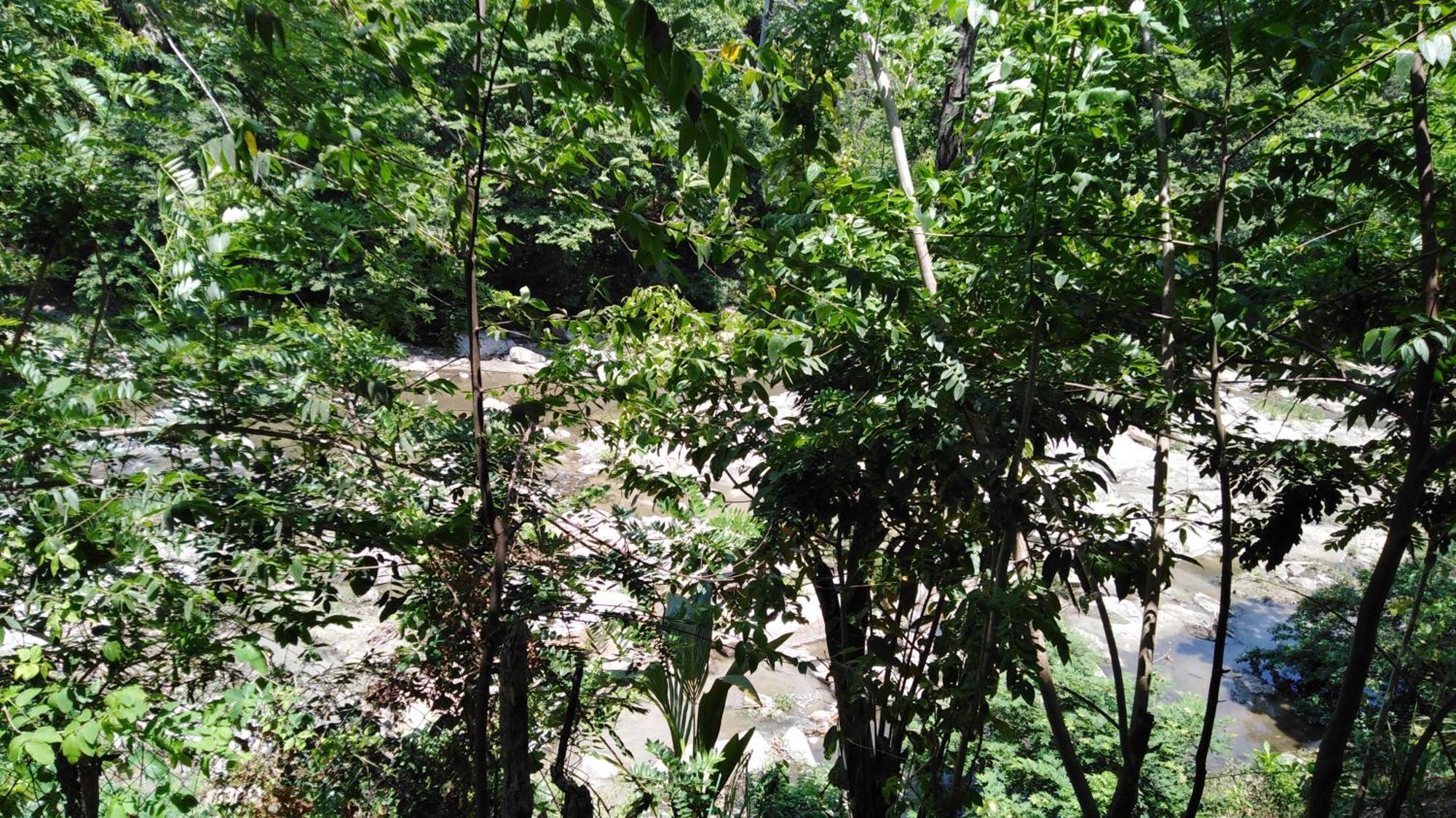 Sierra Tayrona Hostel El Zaino Exterior photo