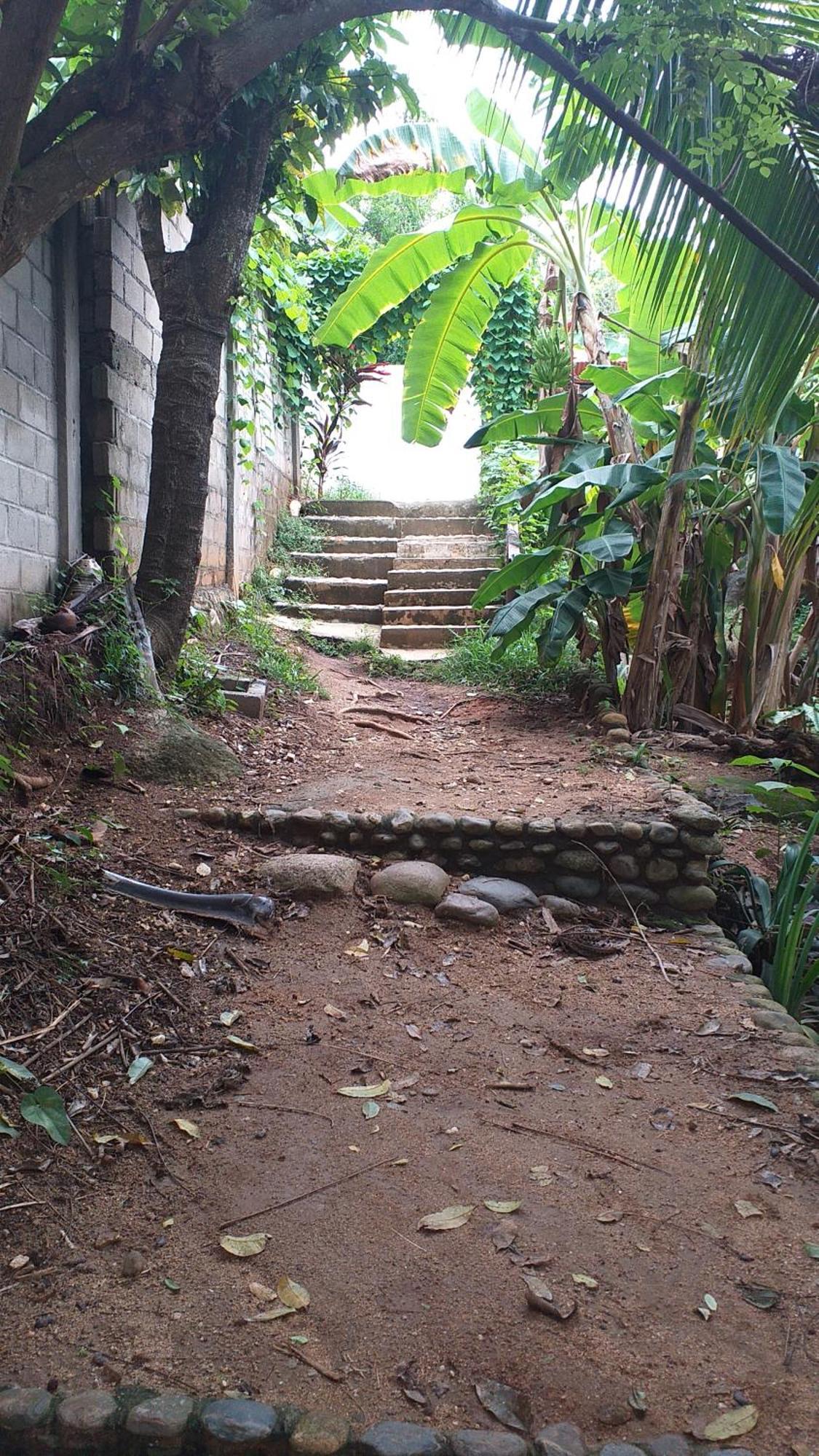 Sierra Tayrona Hostel El Zaino Exterior photo