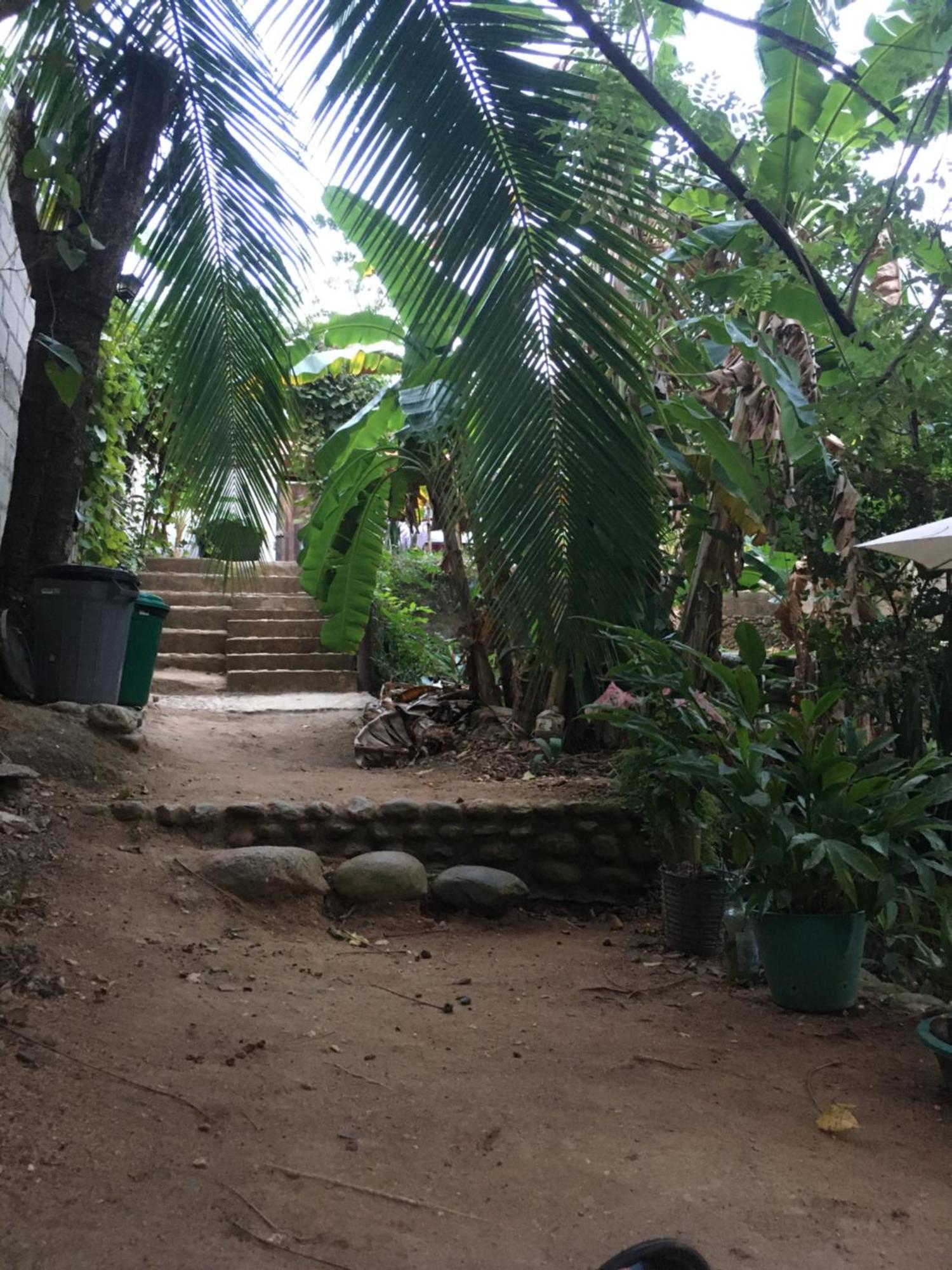 Sierra Tayrona Hostel El Zaino Exterior photo